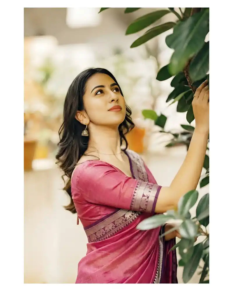 Elephant Border Narayan Pet Pure Cotton Saree