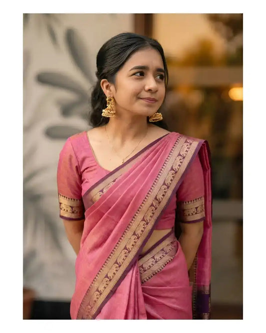 Elephant Border Narayan Pet Pure Cotton Saree
