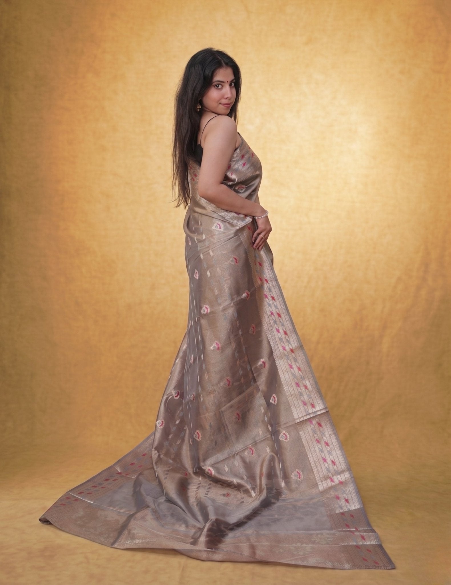 Chandni Taupe - Pallu pallu