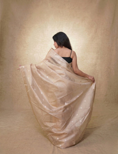 Ivory Noor - Pallu pallu